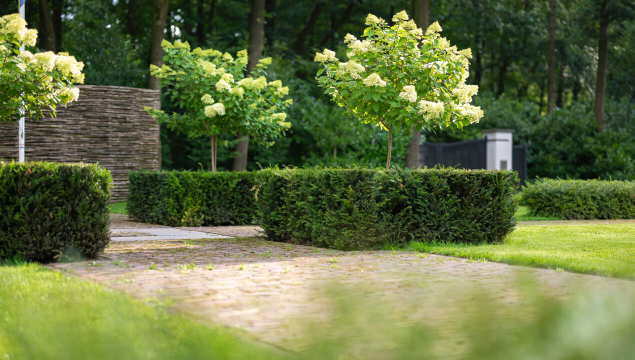 BHN-_nz86095-landelijke-bostuin-villa-Garderen-LR-36