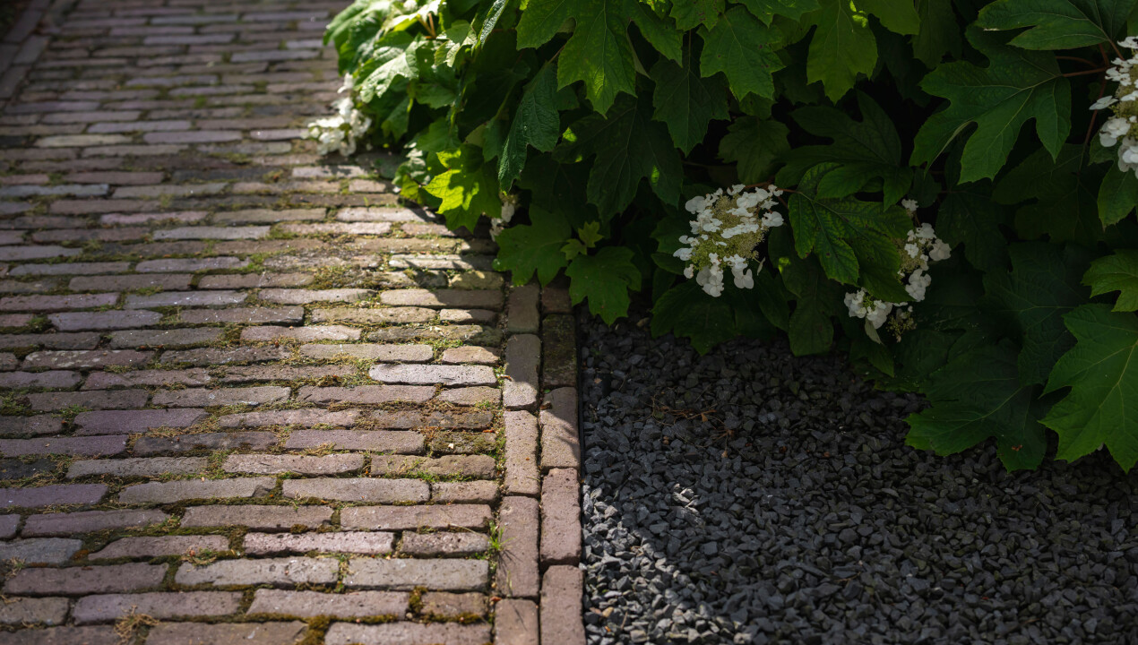 BHN-_nz86099-landelijke-bostuin-villa-Garderen-LR-39