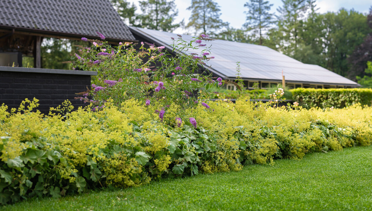 BHN-_nz86107-landelijke-bostuin-villa-Garderen-LR-44