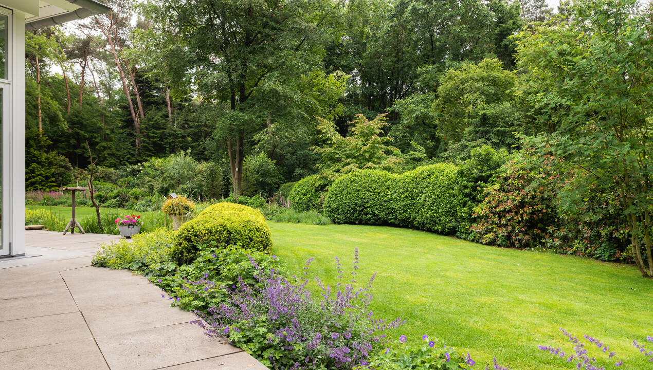 BHN-_dsc2900-Eekhoornlaan-8-Wageningen-LR-1.jpg