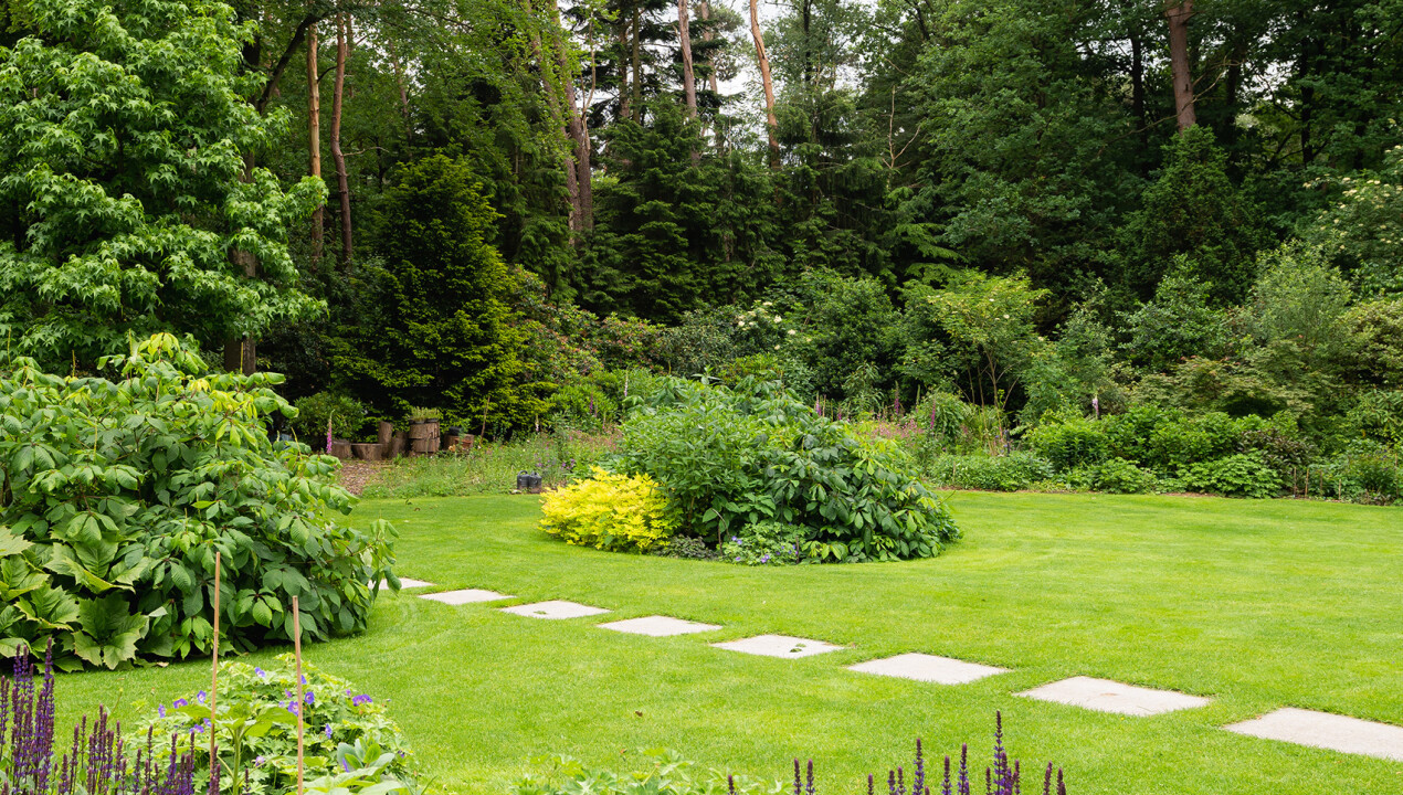 BHN-_dsc2964-Eekhoornlaan-8-Wageningen-LR-11.jpg