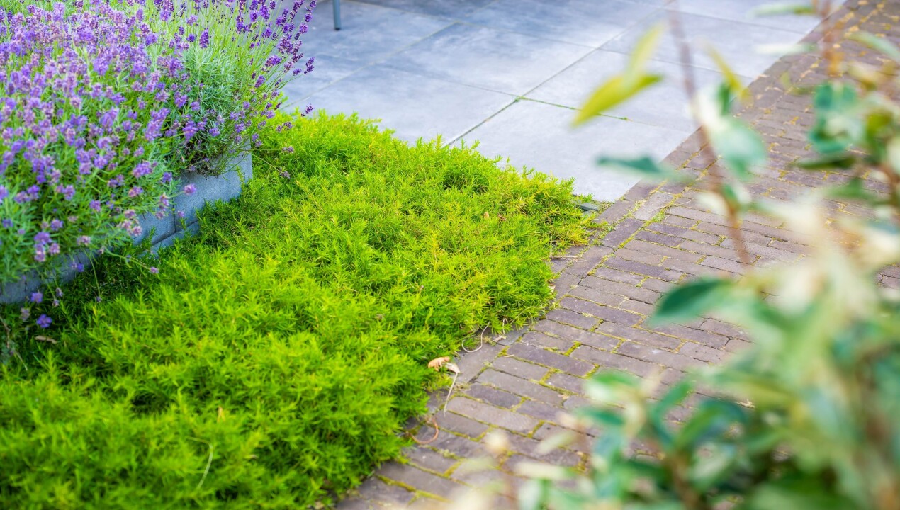 BHN_nz86141-landelijke-tuin-Speuld-LR-20