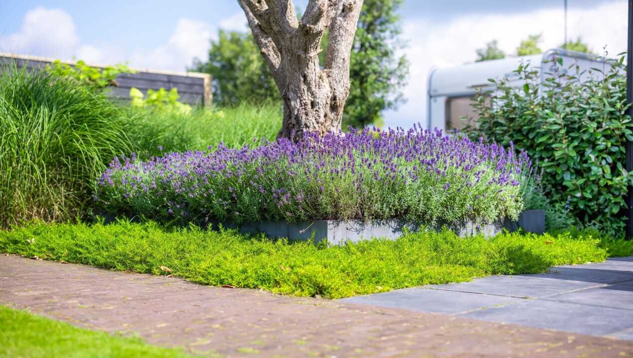 BHN_nz86153-landelijke-tuin-Speuld-LR-31