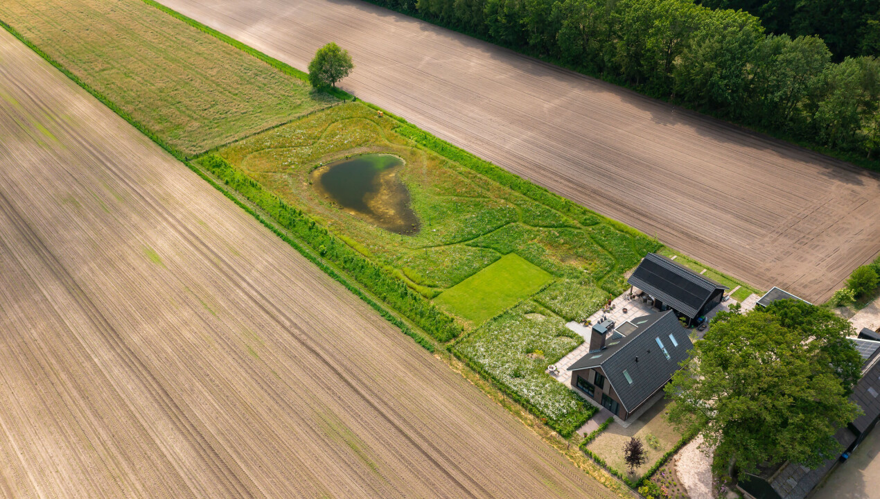 BHN-dji_0733-organische-landelijke-tuin-Hulshorst-LR-33