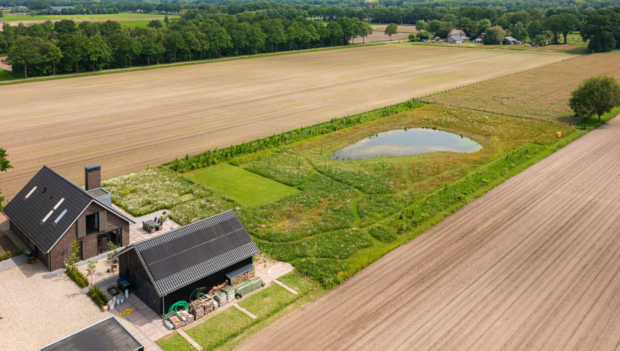 BHN-dji_0737-organische-landelijke-tuin-Hulshorst-LR-34