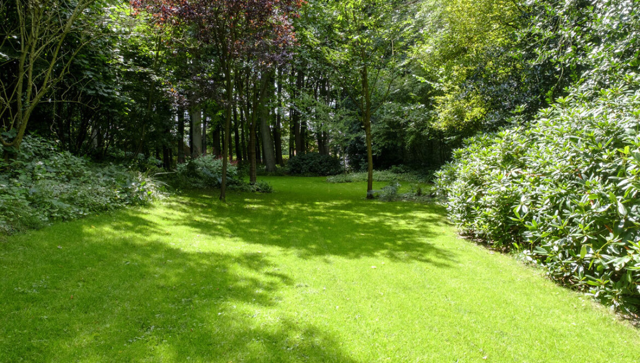 pf-villa-tuin-nunspeet-8