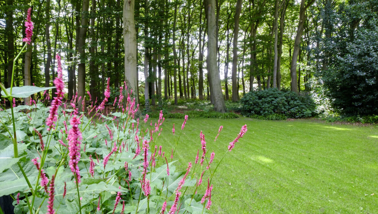 pf-villa-tuin-nunspeet-4 (1)