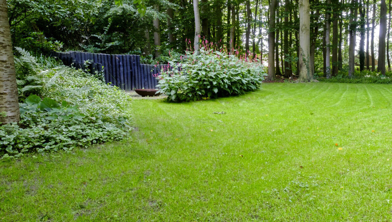 pf-villa-tuin-nunspeet-6