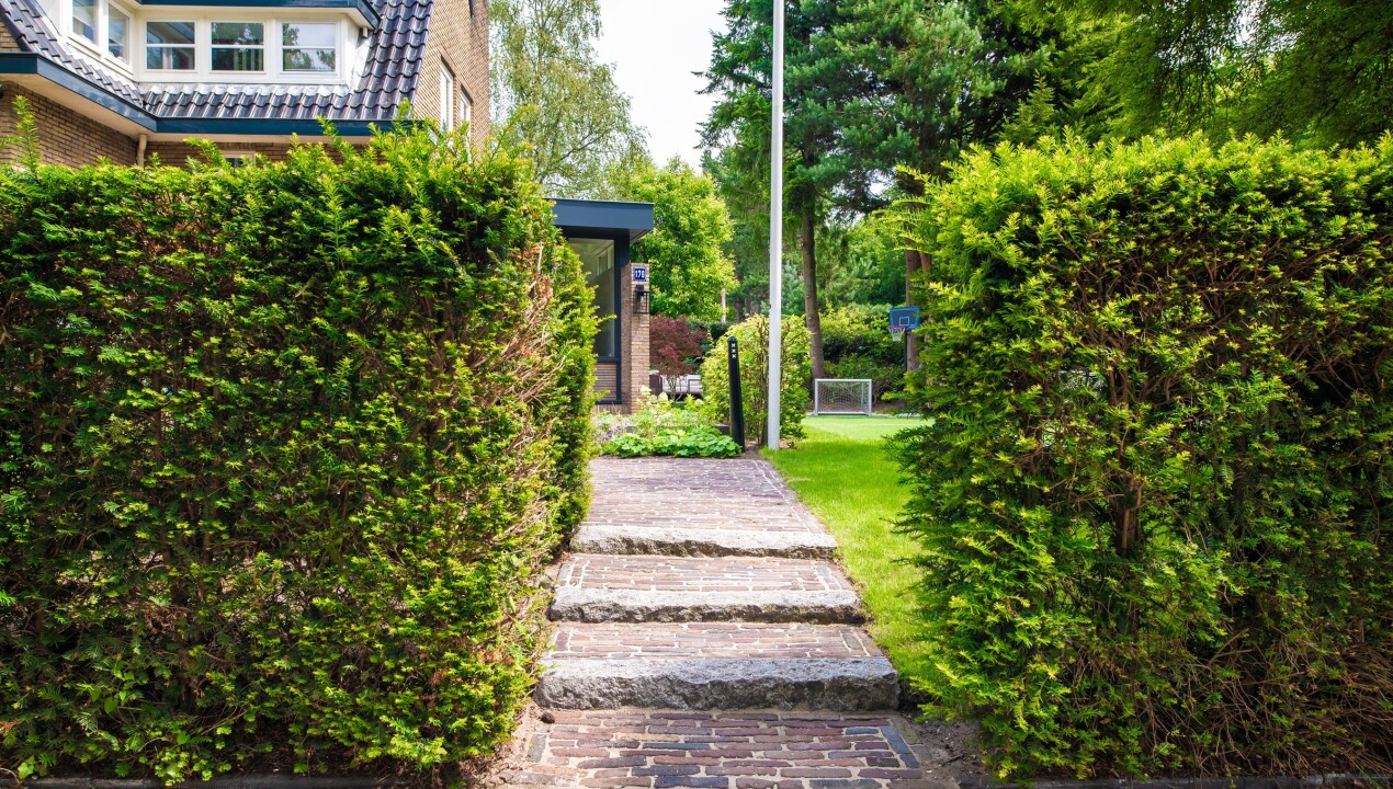 BHN_78F9663_villatuin-Huizen-LR-49